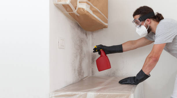 Professional Attic Mold Remediation technician working in Germantown, IL